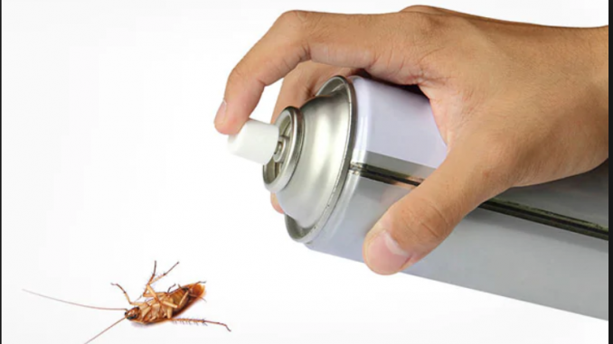 how to kill cockroaches fast