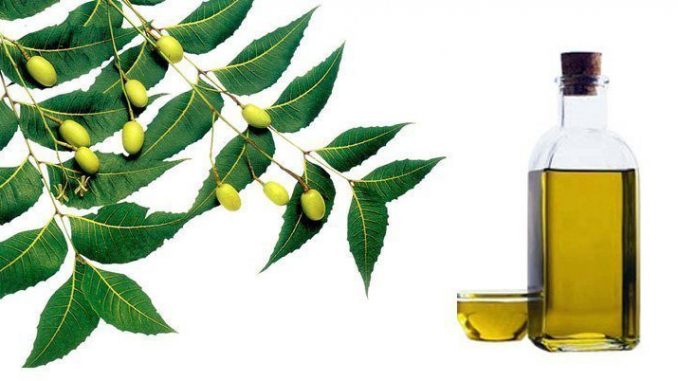 What is Neem Oil Used For