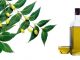 What is Neem Oil Used For