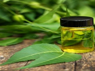 how to use neem oil on indoor plants
