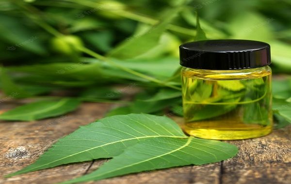 how to use neem oil on indoor plants