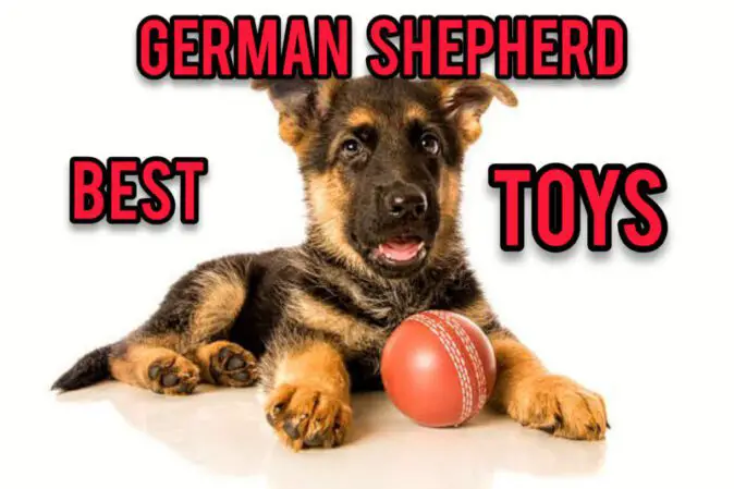German Shepherd toys