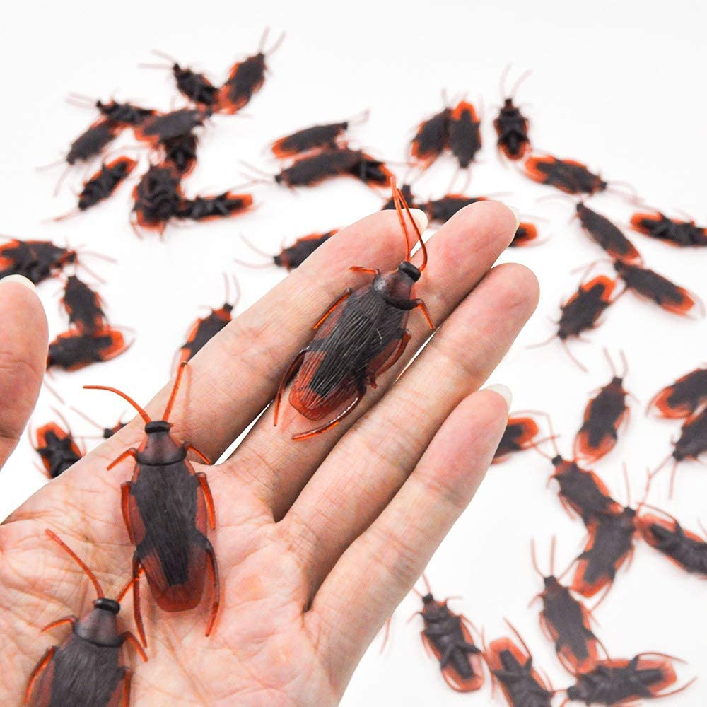 How to Get Rid of Fake Cockroaches